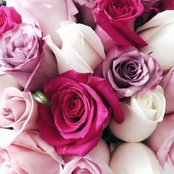 Meet your Posher, Rosalia - Picture 1 of 1